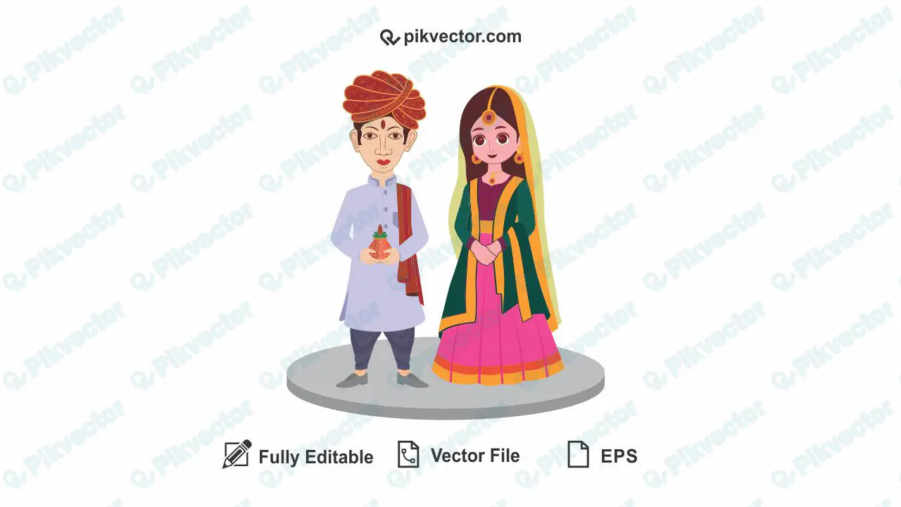 Indian wedding couple bride and groom vector images