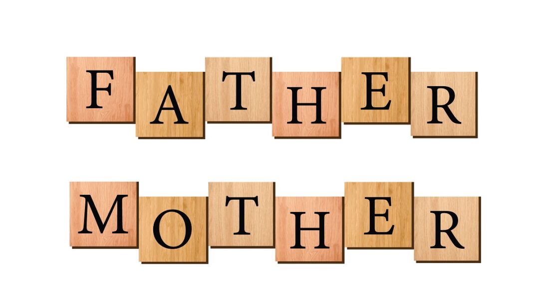Father Mother written on wooden blocks vector