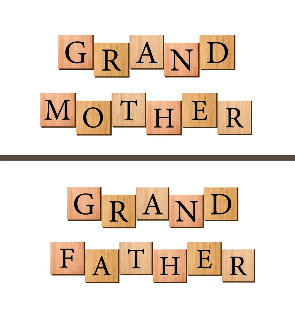 Grandmother Grandfather written on wooden blocks vector