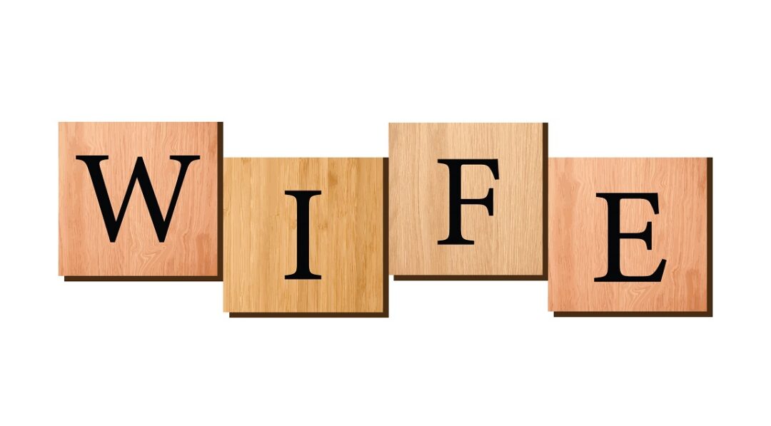 Wife written on wooden blocks vector