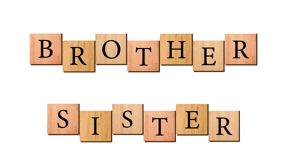 Brother sister written on wooden blocks vector