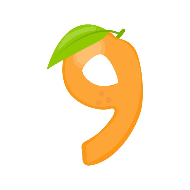 9 digit orange fruit vector image