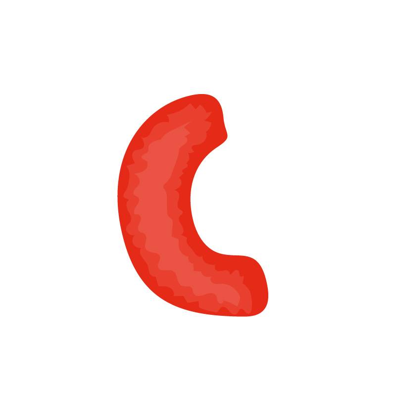 C alphabet fruit vector image