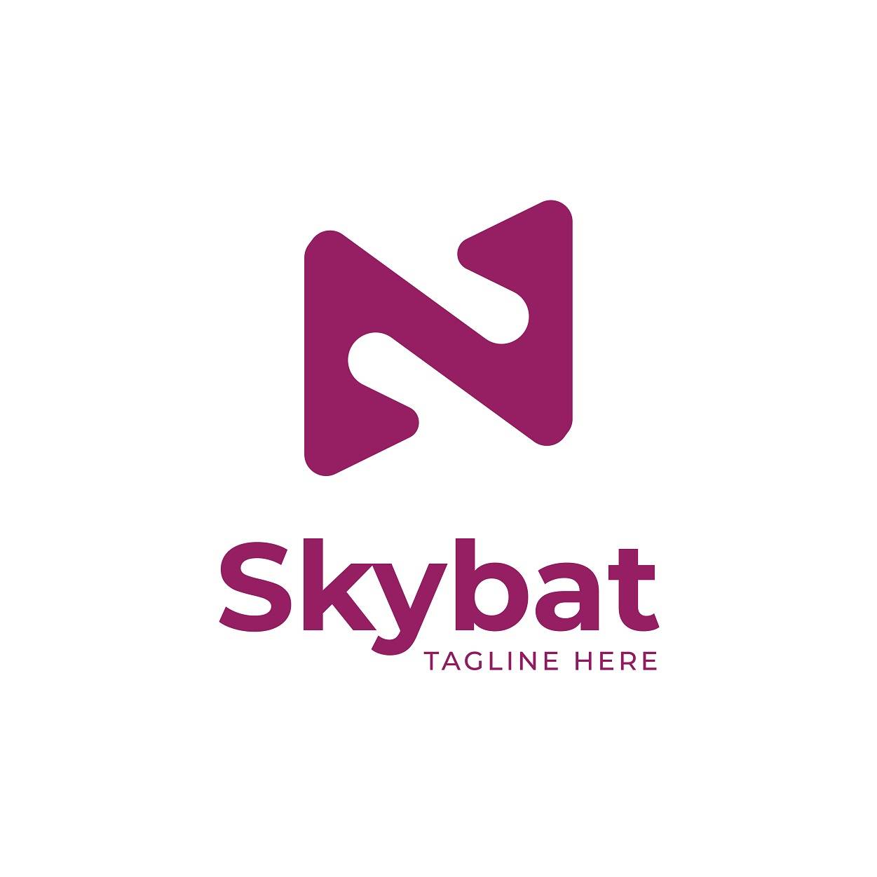 Skybat creative logo design in purple color