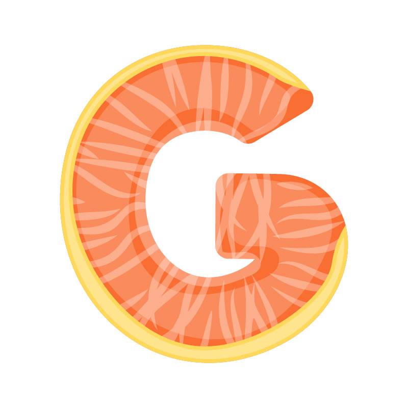 G alphabet orange fruit vector image