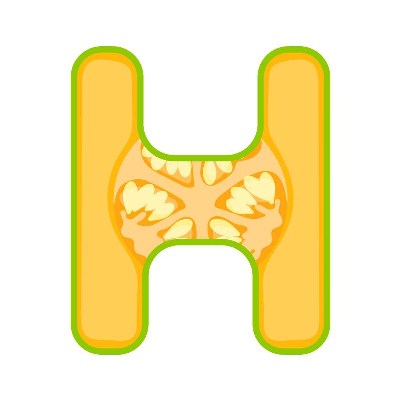 H alphabet melon fruit vector image