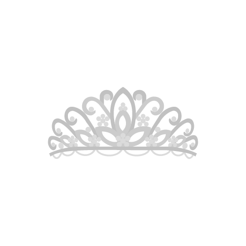 Princess crown vector silver