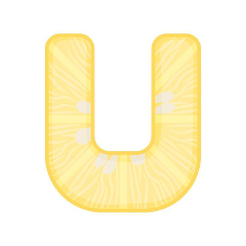 U alphabet lemon fruit vector image