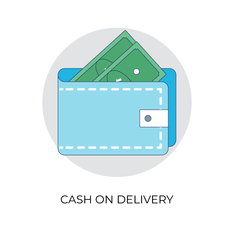 Cash on delivery wallet flat color icon