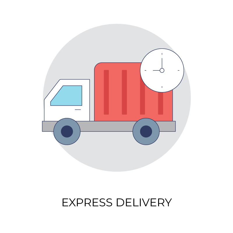 Express delivery flat color icon