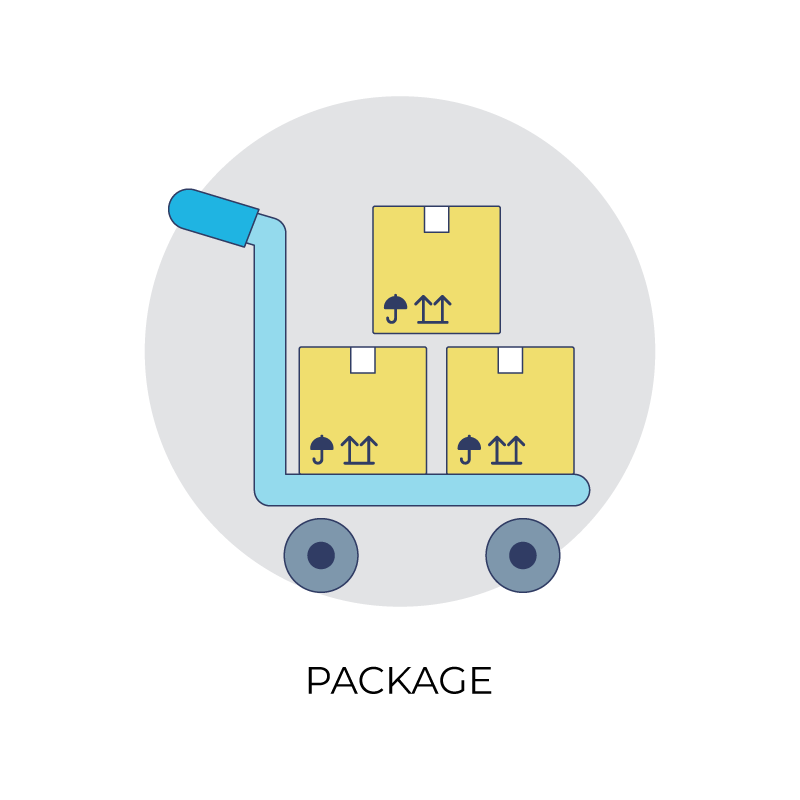 Package flat color icon