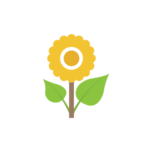 Beautiful sunflower flat icon