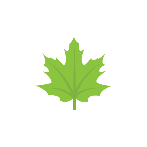 Maple leaf flat icon