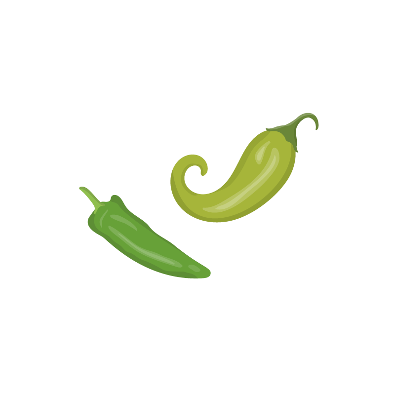 Green chili vector icon