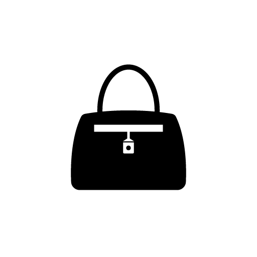 Ladies purse icon vector