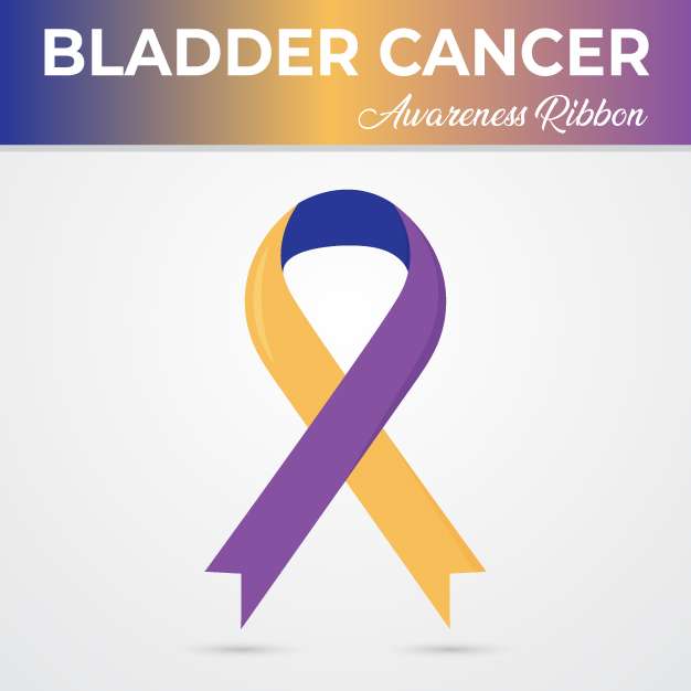 Bladder cancer awareness ribbon vector