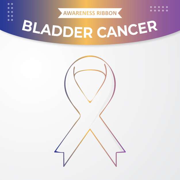 Bladder cancer awareness ribbon free vector