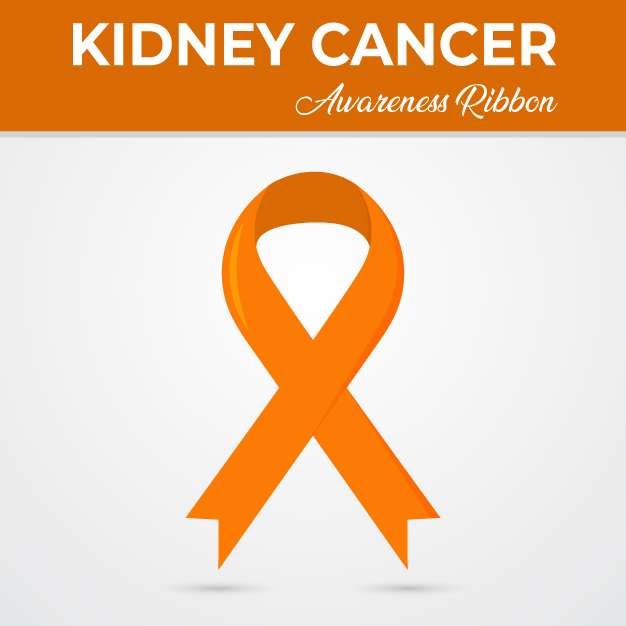 Kidney cancer awareness ribbon vector