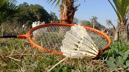 Badminton and shuttlecocks on grass stock photo