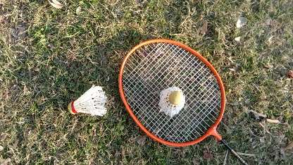 Badminton and shuttlecocks stock image on grass