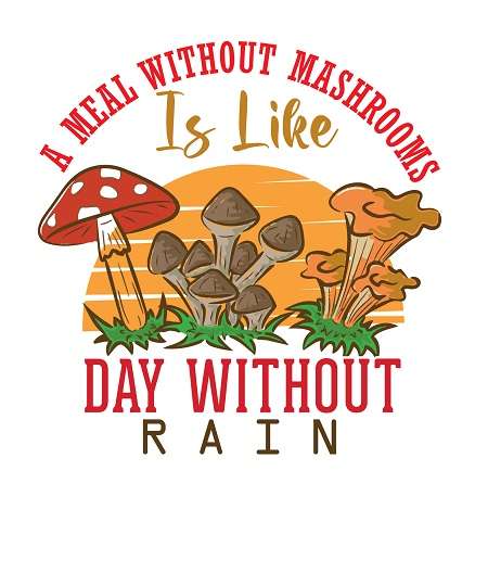 A meal without mashrooms is like day without rain t shirt design