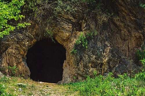 Cave image with beautiful greenery