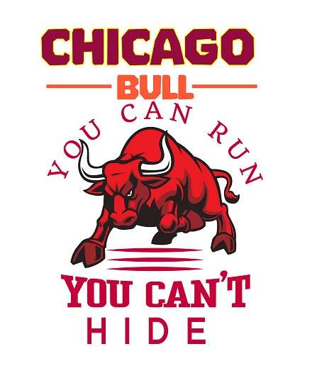 Chicago bull you can run but you can’t hide t shirt design